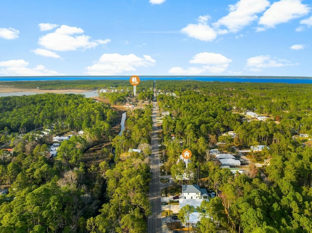 bird's eye view with a view of trees