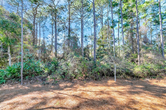 view of yard with a wooded view