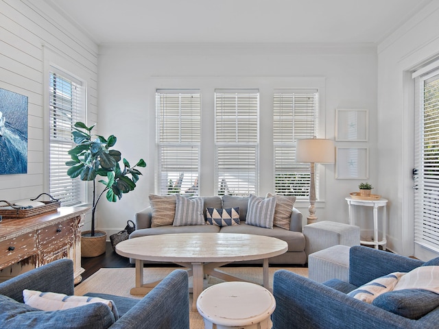 living area featuring crown molding, wood finished floors, and a healthy amount of sunlight