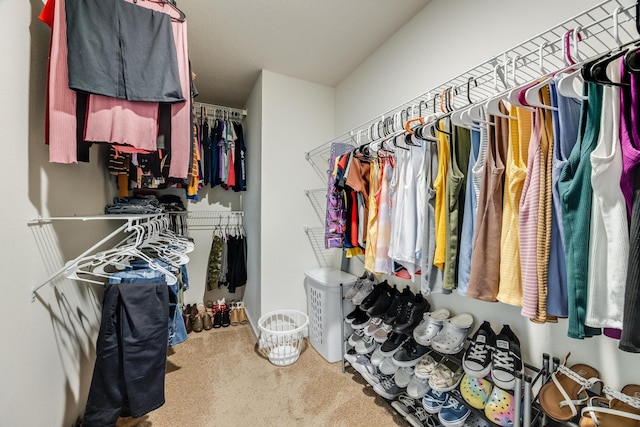 spacious closet featuring carpet floors