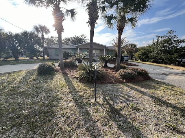 view of front facade featuring driveway