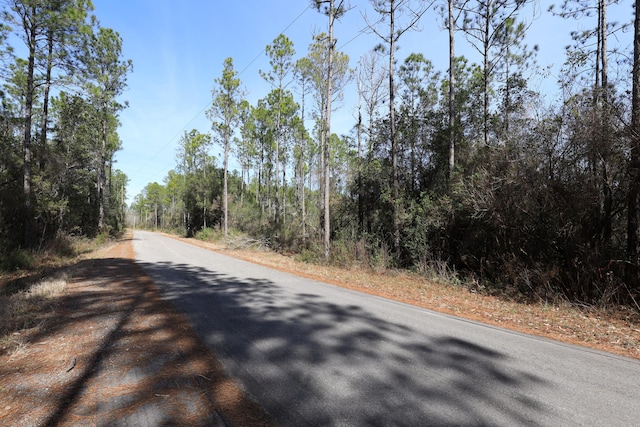 3ACRES Antioch Cemetery Rd, Ponce De Leon FL, 32455 land for sale