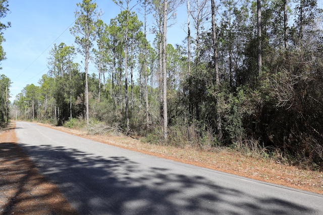 Listing photo 3 for 3ACRES Antioch Cemetery Rd, Ponce De Leon FL 32455