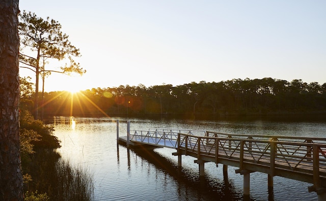 307 W Firethorn Cir Lot 42, Inlet Beach, FL 32461 - dock area with a water view