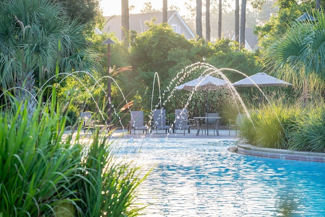 307 W Firethorn Cir Lot 42, Inlet Beach, FL 32461 - view of swimming pool featuring a patio area