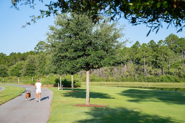 307 W Firethorn Cir Lot 42, Inlet Beach, FL 32461 - view of property's community featuring a lawn