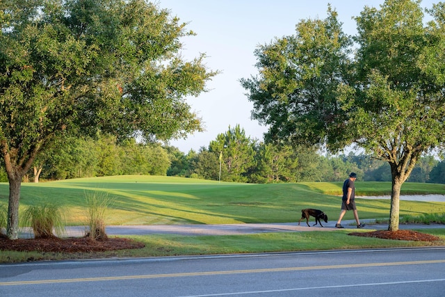 307 W Firethorn Cir Lot 42, Inlet Beach, FL 32461 - surrounding community with golf course view and a yard