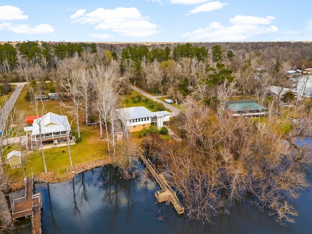 drone / aerial view with a water view and a view of trees