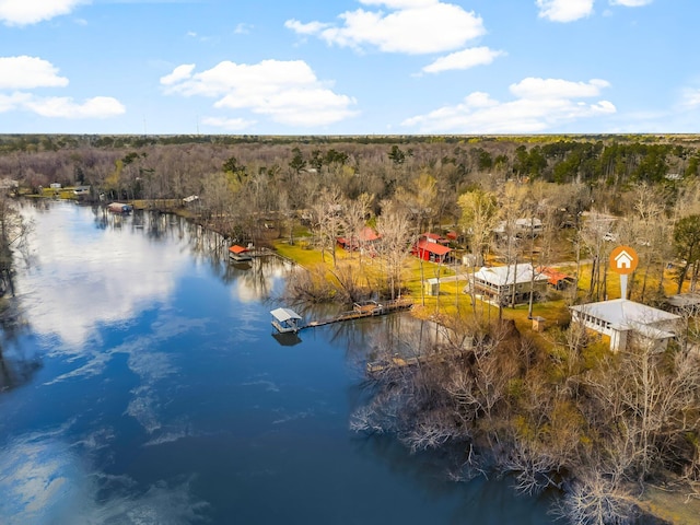 drone / aerial view featuring a forest view and a water view