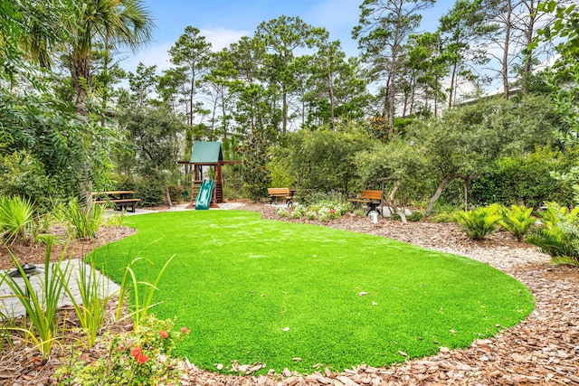 view of yard featuring playground community