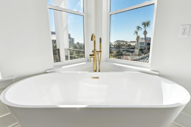 details with a freestanding bath and a sink