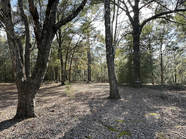 view of landscape with a forest view