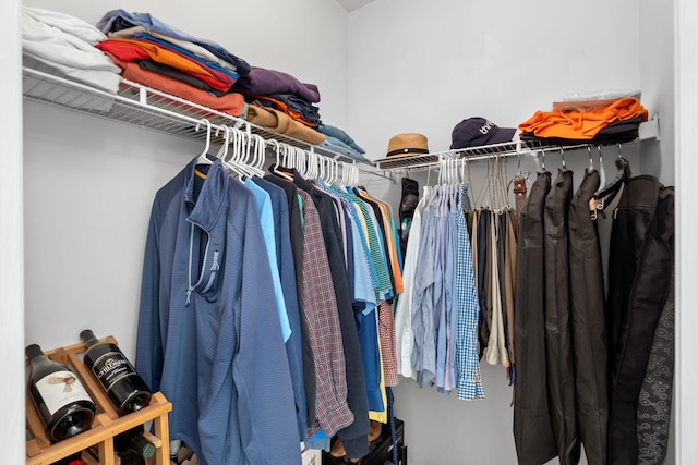 view of spacious closet