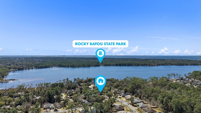 aerial view with a water view and a view of trees