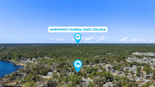 aerial view with a water view and a view of trees