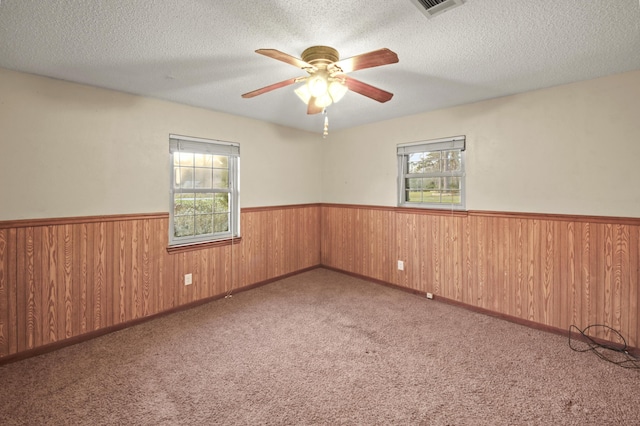 spare room with a textured ceiling, wainscoting, and a wealth of natural light