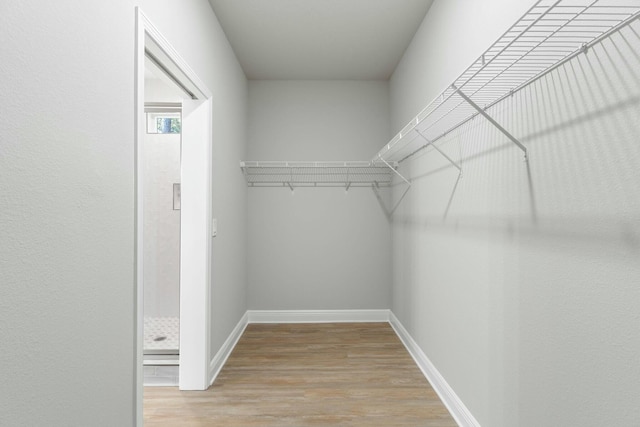 spacious closet with light wood-type flooring