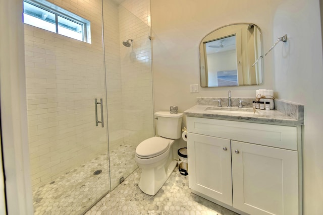 bathroom with toilet, a shower stall, and vanity