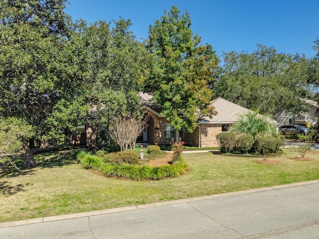 view of property hidden behind natural elements with a front yard