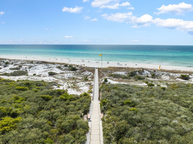 view of water feature with a beach view