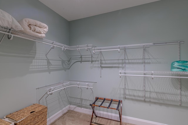 spacious closet with carpet floors