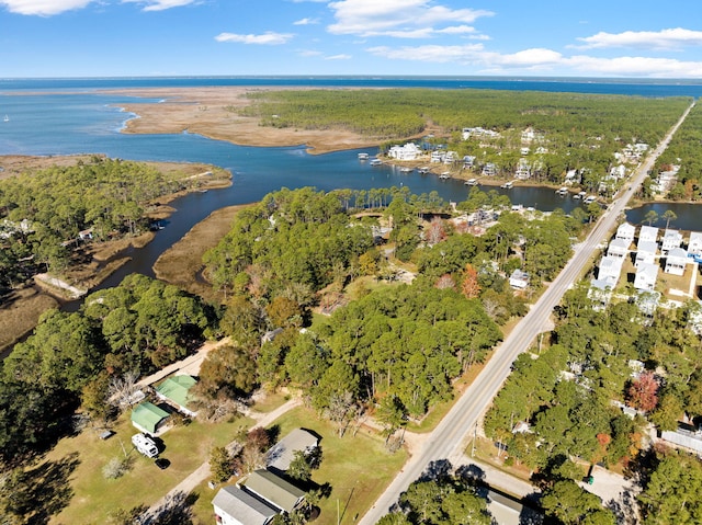 43 Hogtown Bayou Ln, Santa Rosa Beach FL, 32459 land for sale