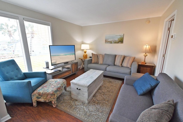 living room with wood finished floors