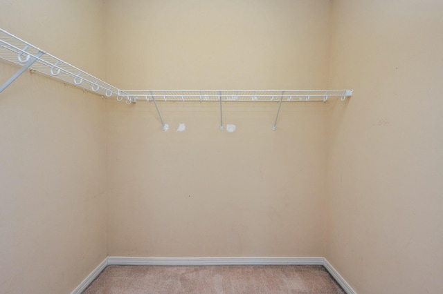 spacious closet featuring light colored carpet