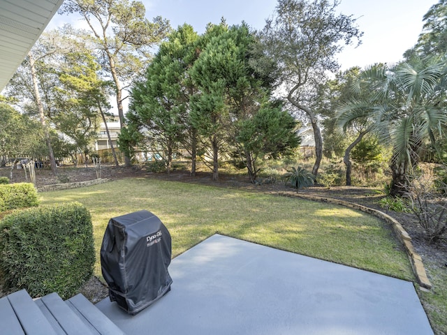 view of yard with a patio area