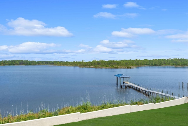 view of dock featuring a water view and boat lift