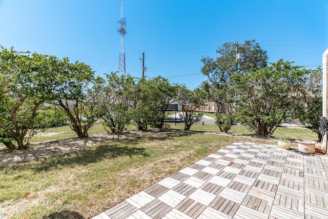 view of yard with a patio area