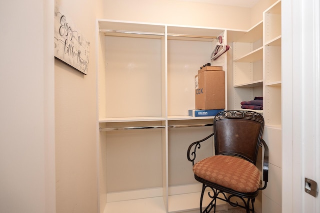 view of spacious closet