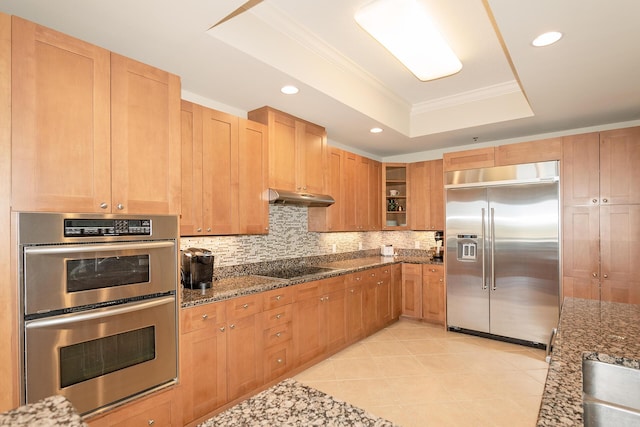 kitchen with a raised ceiling, glass insert cabinets, stainless steel appliances, under cabinet range hood, and backsplash