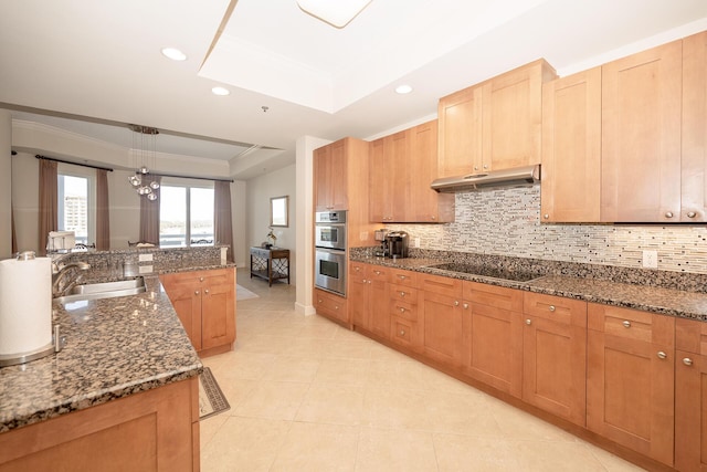 kitchen featuring crown molding, a raised ceiling, a sink, under cabinet range hood, and black electric cooktop