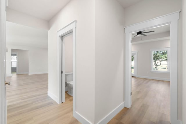 hall featuring plenty of natural light, light wood-style flooring, and baseboards