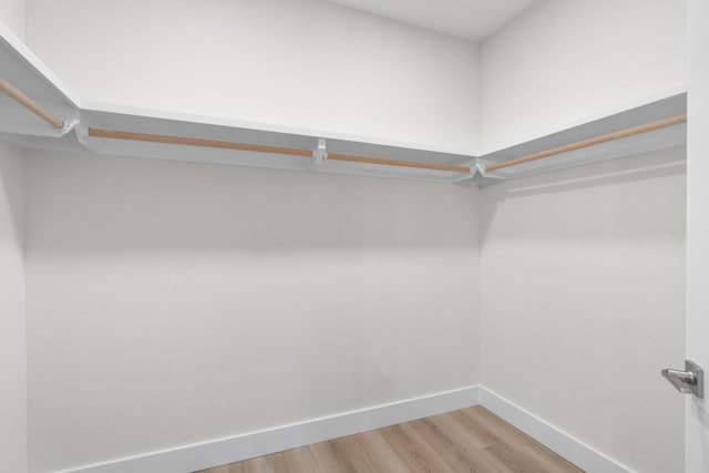 walk in closet featuring light wood finished floors