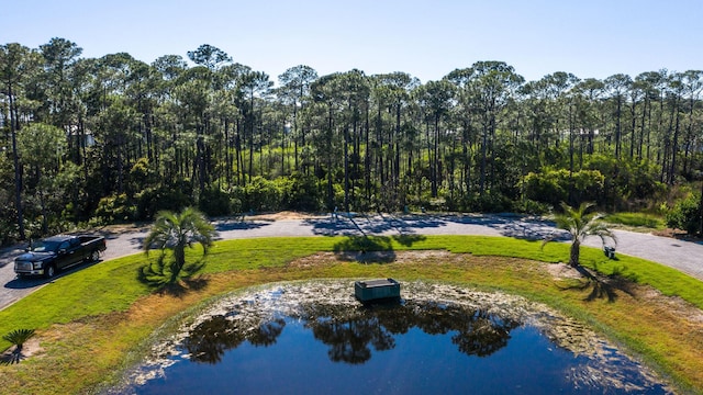 LOT28 Shelleys Way, Miramar Beach, FL 32550