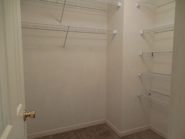 spacious closet with carpet flooring