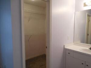 bathroom featuring a spacious closet and vanity