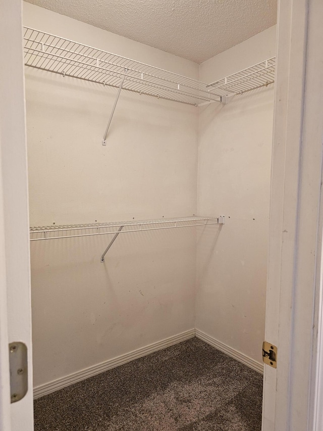 946 Ashley Ln Unit C, Fort Walton Beach, FL 32547 - walk in closet featuring carpet