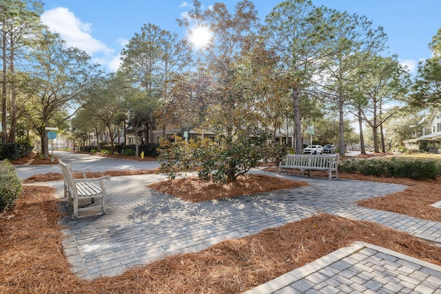 44 Thicket Cir, Santa Rosa Beach, FL 32459 - view of community featuring a residential view