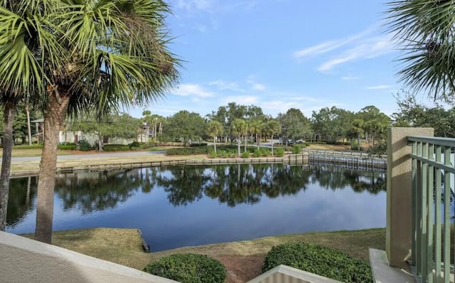 property view of water