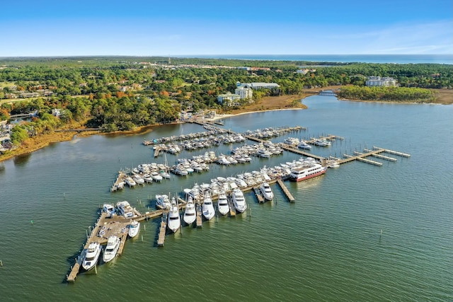 drone / aerial view with a water view and a wooded view