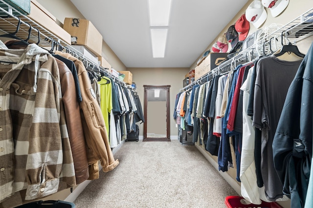 walk in closet featuring carpet flooring