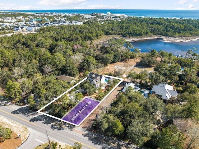 bird's eye view with a water view and a view of trees