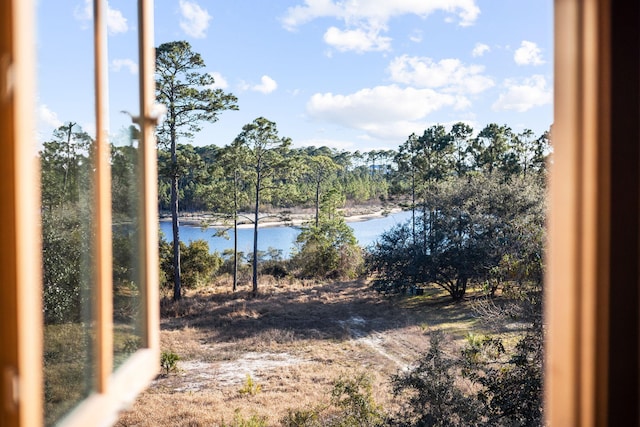 property view of water