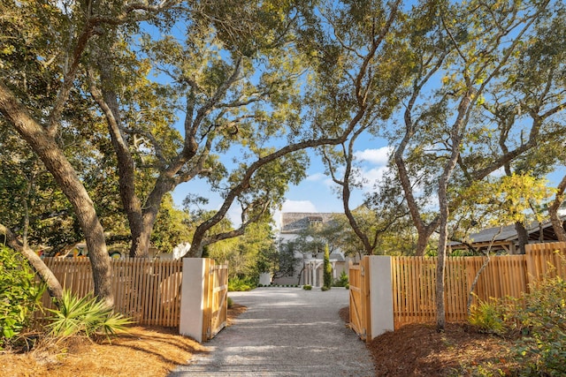 view of road featuring driveway and a gated entry