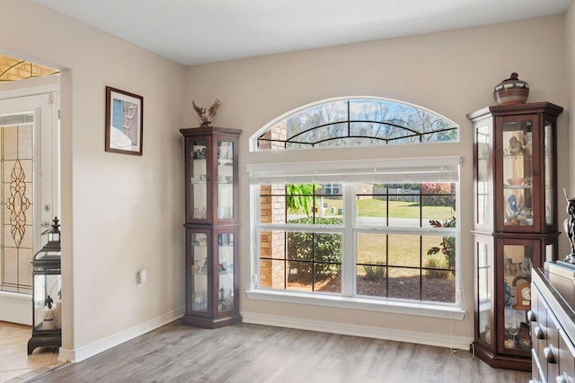 entrance foyer with baseboards and wood finished floors