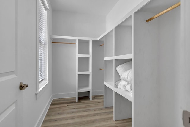 spacious closet with wood finished floors