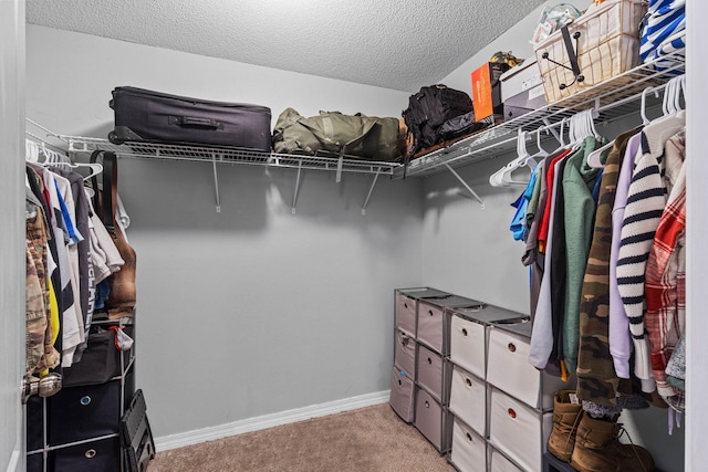 walk in closet with carpet floors